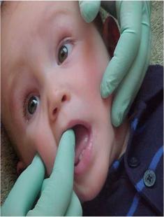 Odontopediatras y Odontologos Especialistas